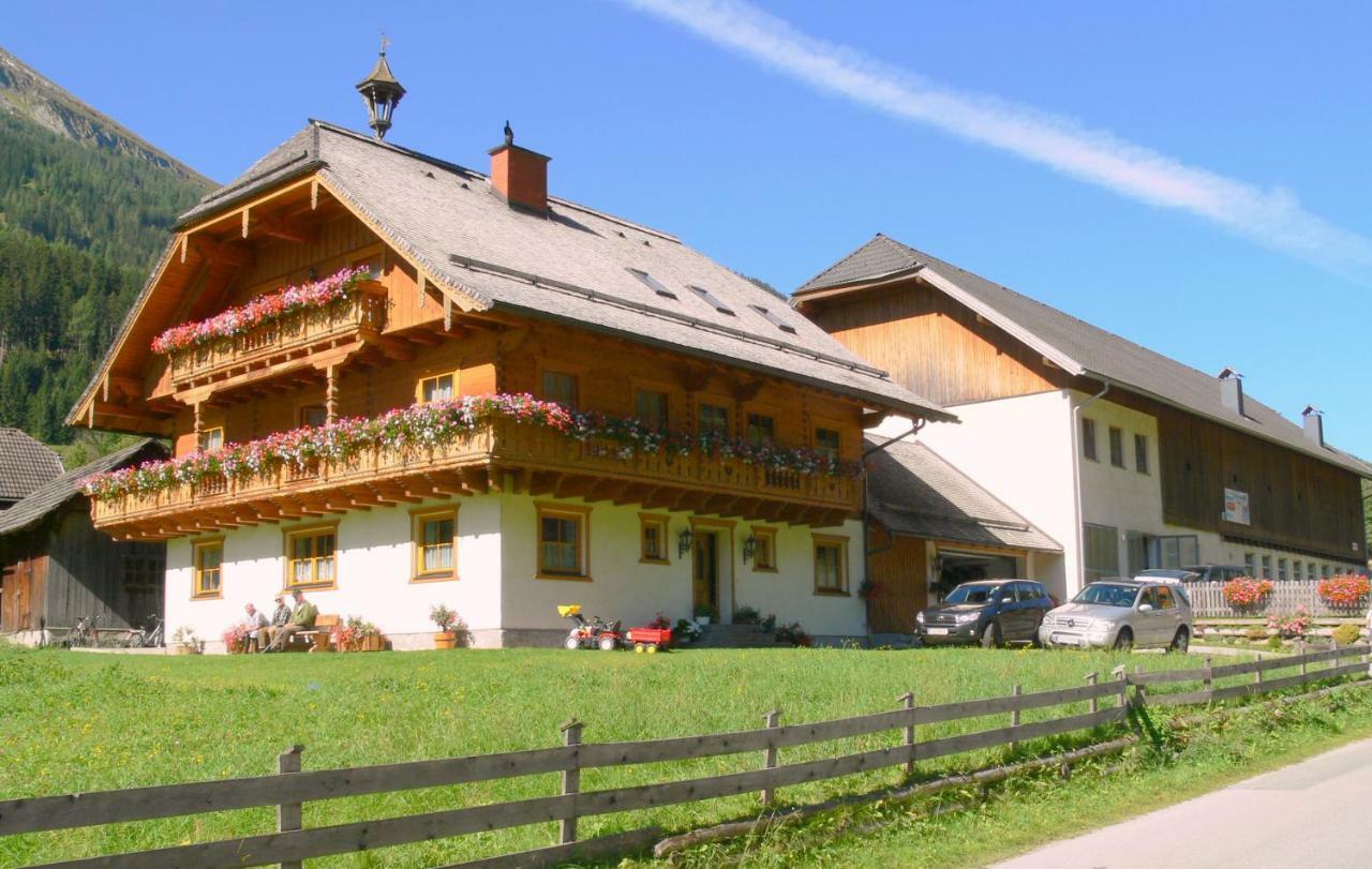 Gratzerhof Villa Zederhaus Dış mekan fotoğraf